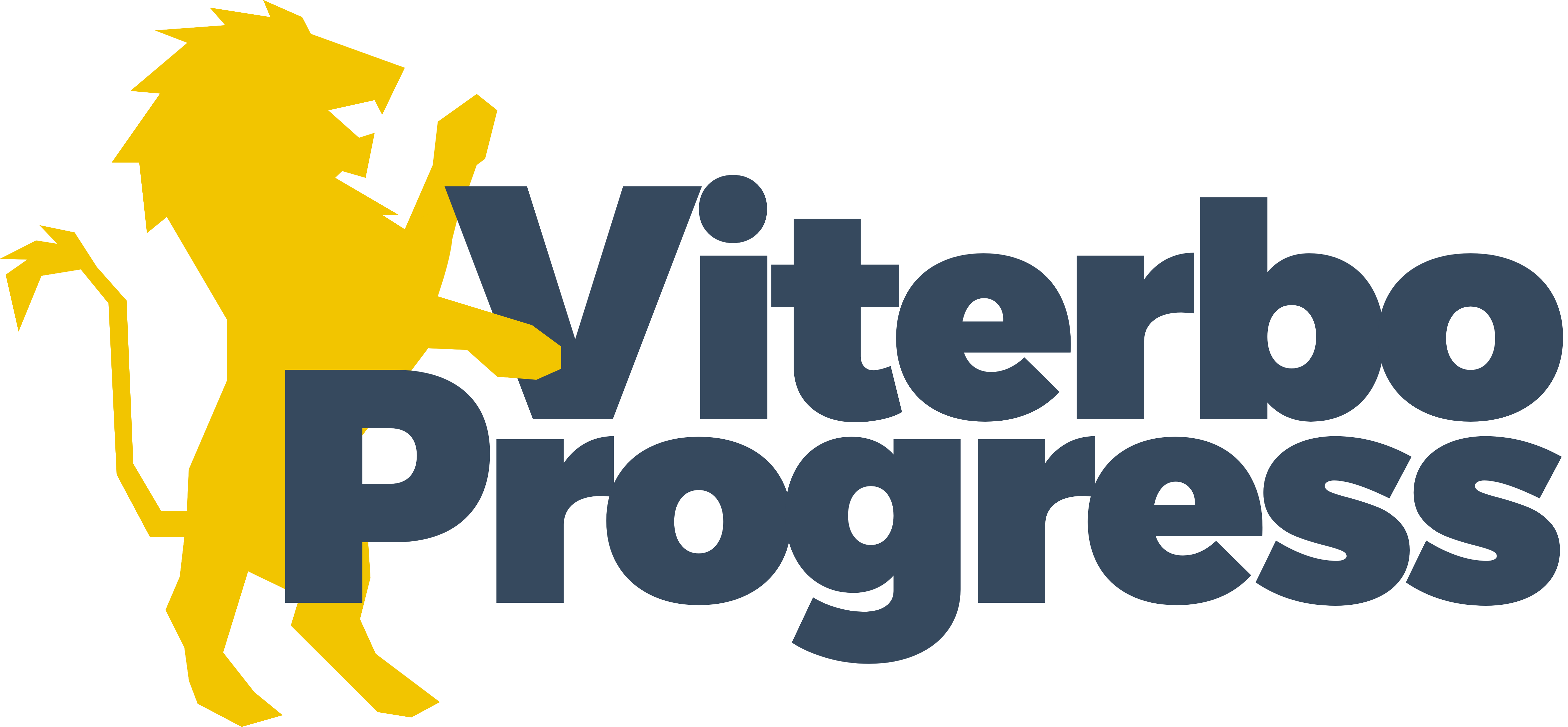 Viterbo Progress